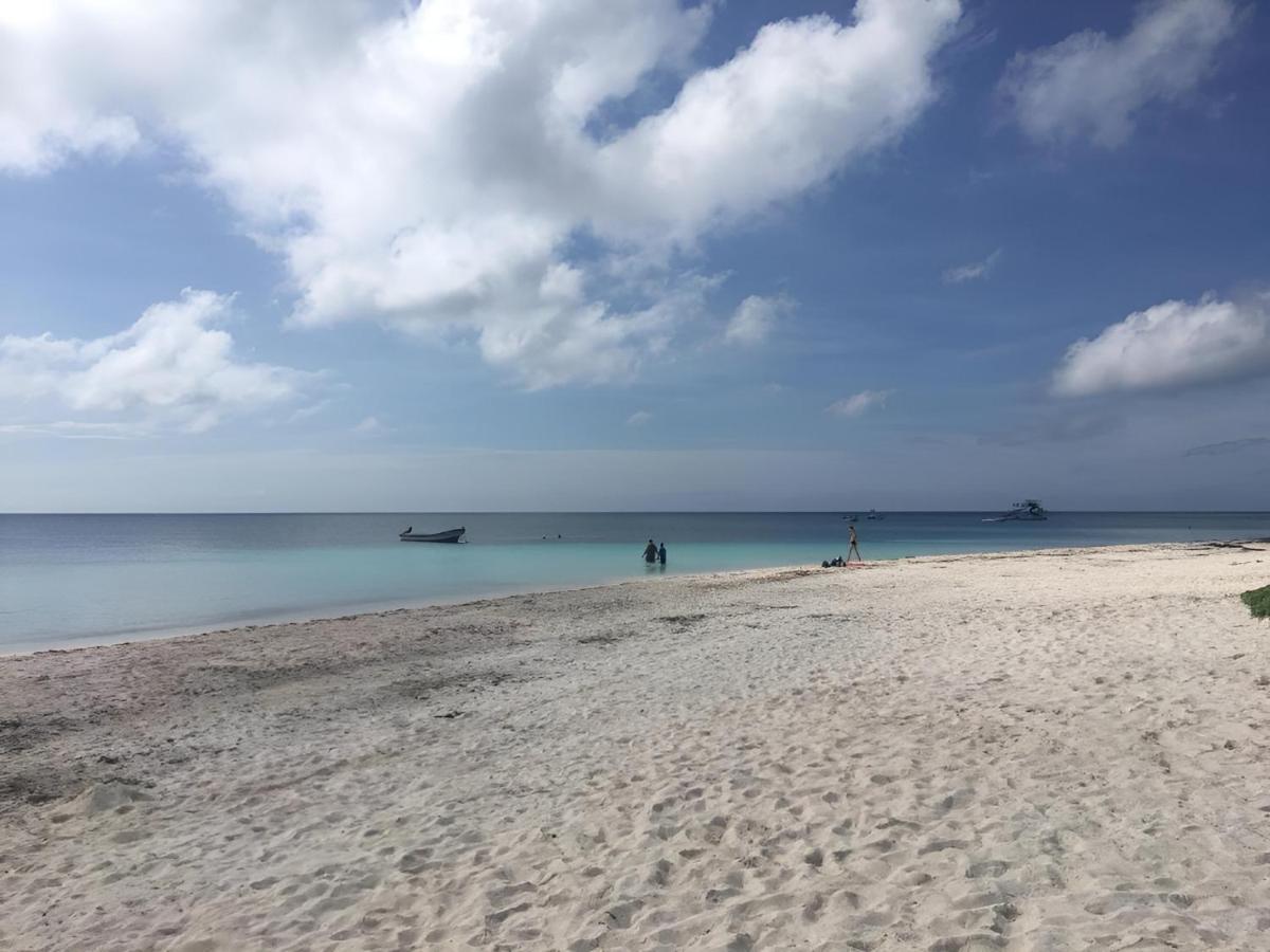 Beautiful And Comfy Penthouse&Apartment Playa del Carmen Eksteriør bilde